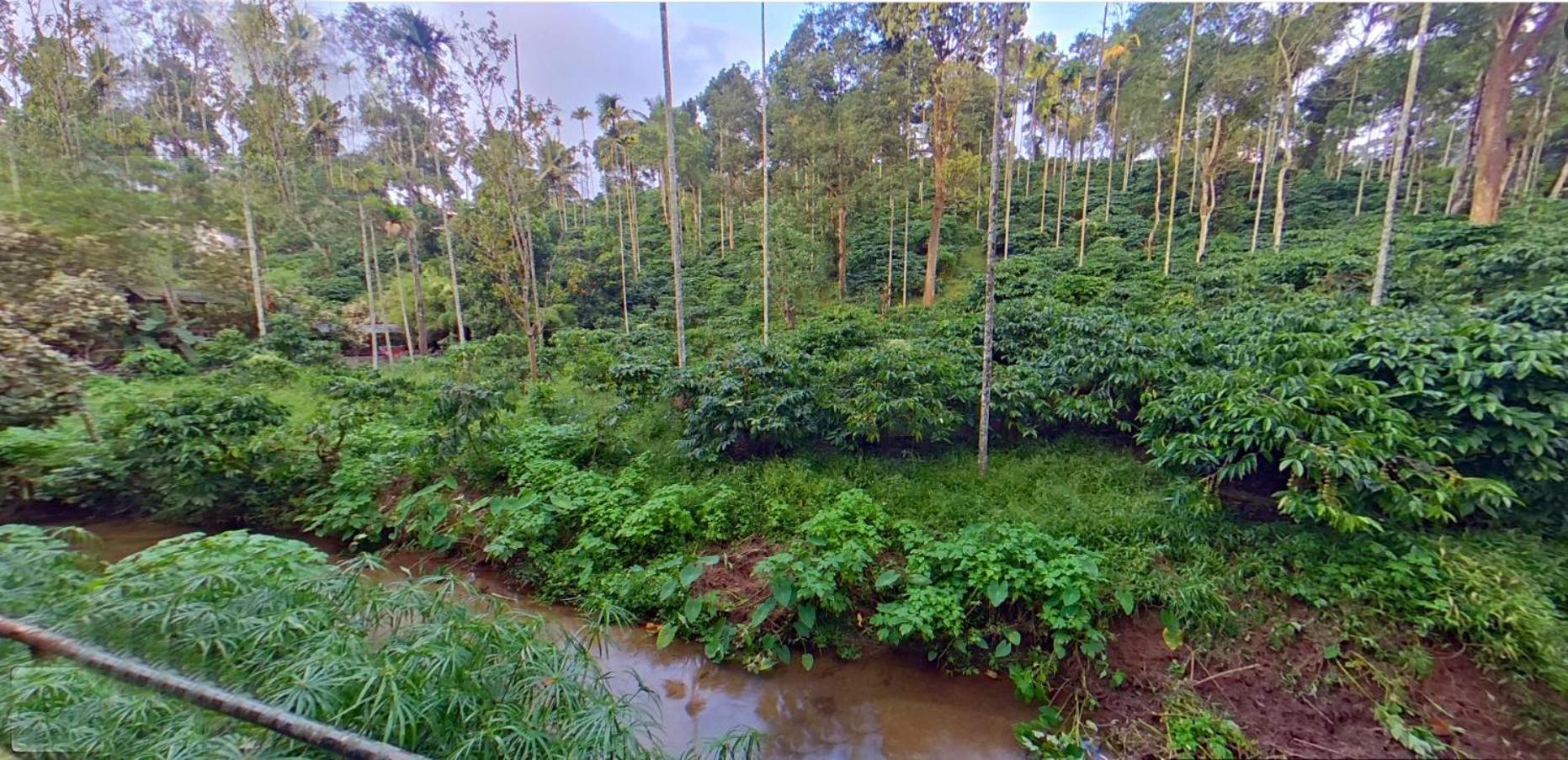 مبيت وإفطار كالباتّا Wayanad Royal Stream المظهر الخارجي الصورة
