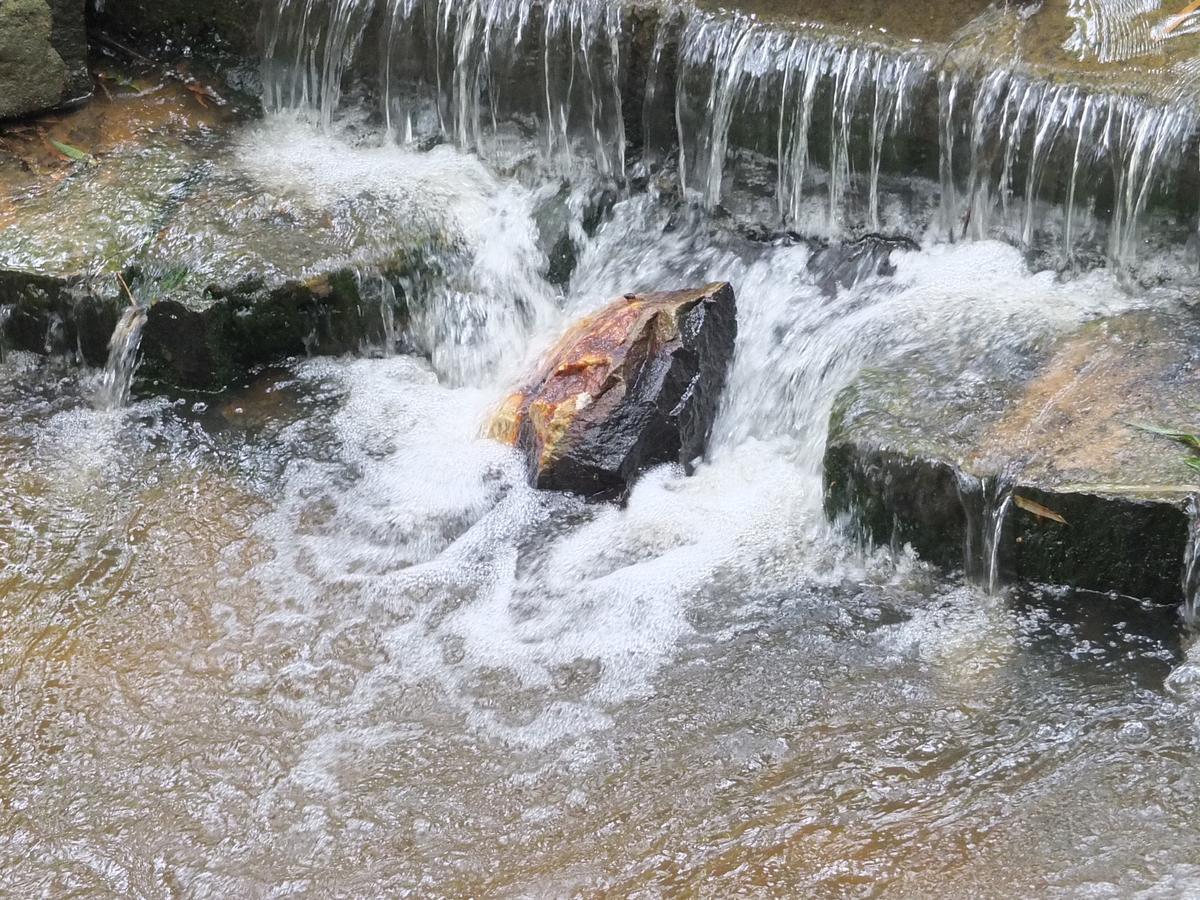 مبيت وإفطار كالباتّا Wayanad Royal Stream المظهر الخارجي الصورة
